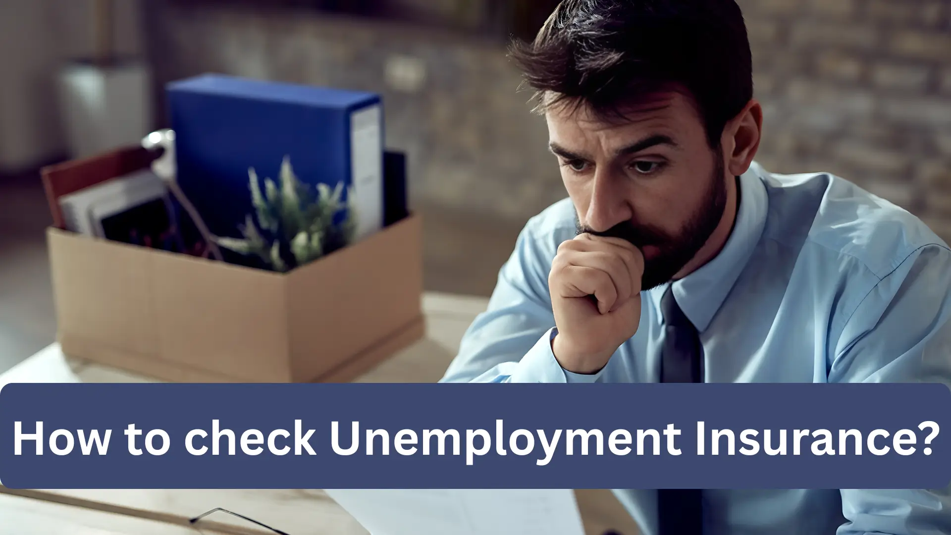 How to check Unemployment Insurance